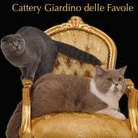 Cattery Giardino delle Favole